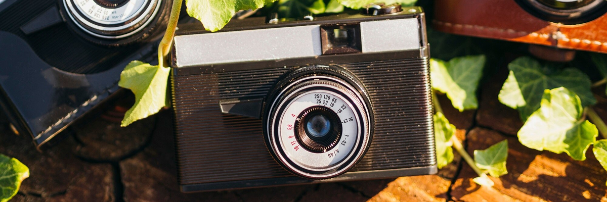banner web 31